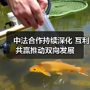 中法合作60年：为何不断双向奔赴？互利共赢如何推动双方发展？(图4)