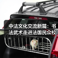 中法文化碰撞激发哪些新火花？汉字功夫与奥运共舞(图4)