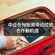 中企投资匈牙利带来哪些新机遇？(图4)