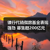 银行代销指数基金表现强劲 募集超200亿元(图4)