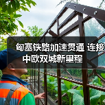 匈塞铁路加速贯通 连接中欧双城新里程(图1)