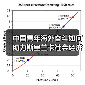 斯里兰卡高架桥项目：中企建设如何助力经济腾飞？-玄熵百博咨询(图2)