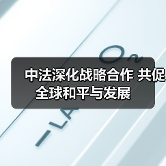 中法合作助力全球稳定，如何深化多领域合作？-玄熵百博咨询(图4)
