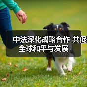 中法合作助力全球稳定，如何深化多领域合作？-玄熵百博咨询(图1)