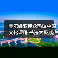 塞尔维亚民众踊跃参与中国文化体验课程-玄熵百博咨询(图4)