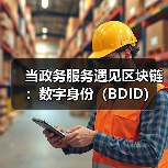 当政务服务遇见区块链:数字身份(BDID)如何重塑信任与效率?(图4) 政务区块链如何实现身份核验?BDID技术关键解析-玄熵百博咨询(图4)
