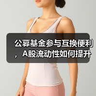 公募基金如何借力SFISF稳定市场？-玄熵百博咨询(图1)