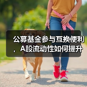 公募基金如何借力SFISF稳定市场？-玄熵百博咨询(图4)