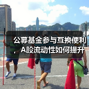 公募基金如何借力SFISF稳定市场？-玄熵百博咨询(图3)