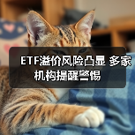 ETF溢价风险频现，投资者如何规避？-玄熵百博咨询(图3)