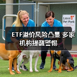 ETF溢价风险频现，投资者如何规避？-玄熵百博咨询