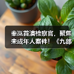 检察官如何守护未成年人成长？《九部的检察官》揭示真实社会议题-玄熵百博咨询(图4)
