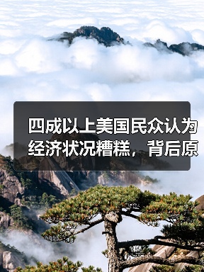 美国经济信心指数下滑？最新民调揭示公众真实看法-玄熵百博咨询(图4)