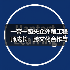 外籍工程师成长记：跨文化合作中的中国桥梁故事-玄熵百博咨询(图4)