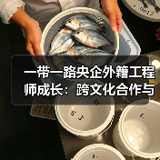 外籍工程师成长记：跨文化合作中的中国桥梁故事-玄熵百博咨询(图3)