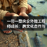 外籍工程师成长记：跨文化合作中的中国桥梁故事-玄熵百博咨询(图1)