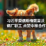 中塞友谊新篇章：斯梅戴雷沃钢厂如何带动民生发展？-玄熵百博咨询(图4)