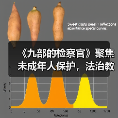 未检检察官如何守护青少年成长？《九部的检察官》聚焦未成年人保护-玄熵百博咨询(图2)
