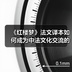 《红楼梦》法文译本如何成为中法文化交流的桥梁？(图4)