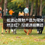 低波动理财产品为何突然走红？投资选择新趋势(图2)