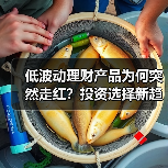 低波动理财产品为何突然走红？投资选择新趋势(图3)