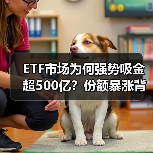 ETF市场为何强势吸金超500亿？份额暴涨背后暗藏玄机