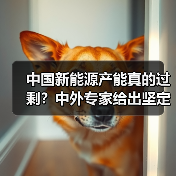 中国新能源“产能过剩”？全球市场为何持续热销？-玄熵百博咨询(图3)
