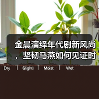 金晨演绎时代变迁《南来北往》马燕成长轨迹引期待-玄熵百博咨询(图3)