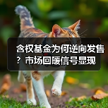 含权基金发行遇冷 延迟产品密集启动引关注-玄熵百博咨询(图4)
