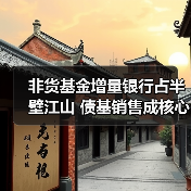 非货基金增量银行占半壁江山 债基销售成核心驱动力(图2)