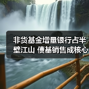 非货基金增量银行占半壁江山 债基销售成核心驱动力(图4)