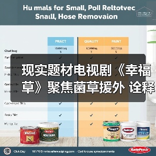 现实题材电视剧《幸福草》聚焦菌草援外 诠释国际版山海情(图4)