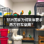 非洲为何驱逐西方驻军？美法撤离背后的真相曝光-玄熵百博咨询(图4)