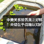 中美能否走出对抗阴影？合作才是双赢之路-玄熵百博咨询(图2)