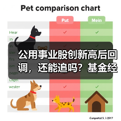 公用事业股创新高后回调，还能追吗？基金经理怎么说(图4)