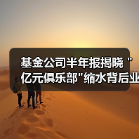 基金公司半年报揭晓 