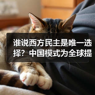 谁说西方民主是唯一选择？中国模式为全球提供新思路(图4)