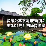 多家公募下调申赎门槛至0.01元？市场隐忧显现(图2)