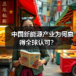 中国新能源产业为何赢得全球认可？ - 玄熵百博咨询
