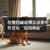 在第四届消博会感受中外文化“双向奔赴”(图4)