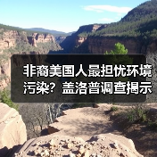 非裔美国人最担忧环境污染?盖洛普调查揭示种族差距(图2) 非裔美国人最担忧环境污染?盖洛普调查揭示种族差距(图2)