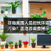 非裔美国人最担忧环境污染？盖洛普调查揭示 - 玄熵百博咨询