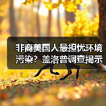 非裔美国人最担忧环境污染?盖洛普调查揭示种族差距(图4) 非裔美国人最担忧环境污染?盖洛普调查揭示种族差距(图4)