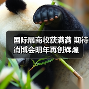 国际展商收获满满 期待消博会明年再创辉煌(图4) 国际展商收获满满 期待消博会明年再创辉煌(图4)