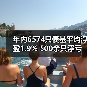 年内6574只债基平均浮盈1.9% 50 - 玄熵百博咨询