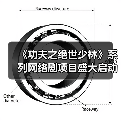《功夫之绝世少林》系列网络剧项目盛大启动 - 玄熵百博咨询