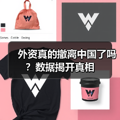 外资真的撤离中国了吗?数据揭开真相(图1) 外资真的撤离中国了吗?数据揭开真相(图1)