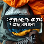 外资真的撤离中国了吗?数据揭开真相(图3) 外资真的撤离中国了吗?数据揭开真相(图3)