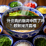 外资真的撤离中国了吗?数据揭开真相(图2) 外资真的撤离中国了吗?数据揭开真相(图2)