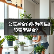 公募基金自购为何瞄准股票型基金?(图4) 公募基金自购为何瞄准股票型基金?(图4)